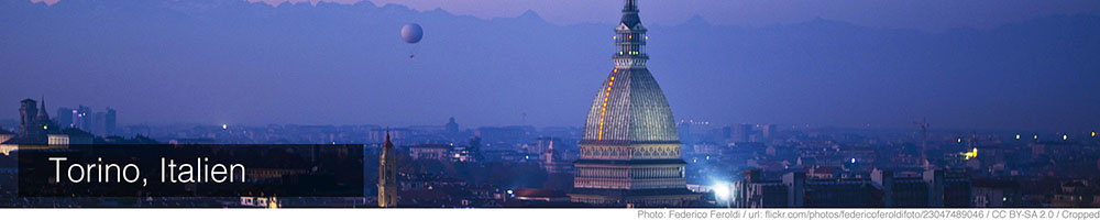 Torino Torino
