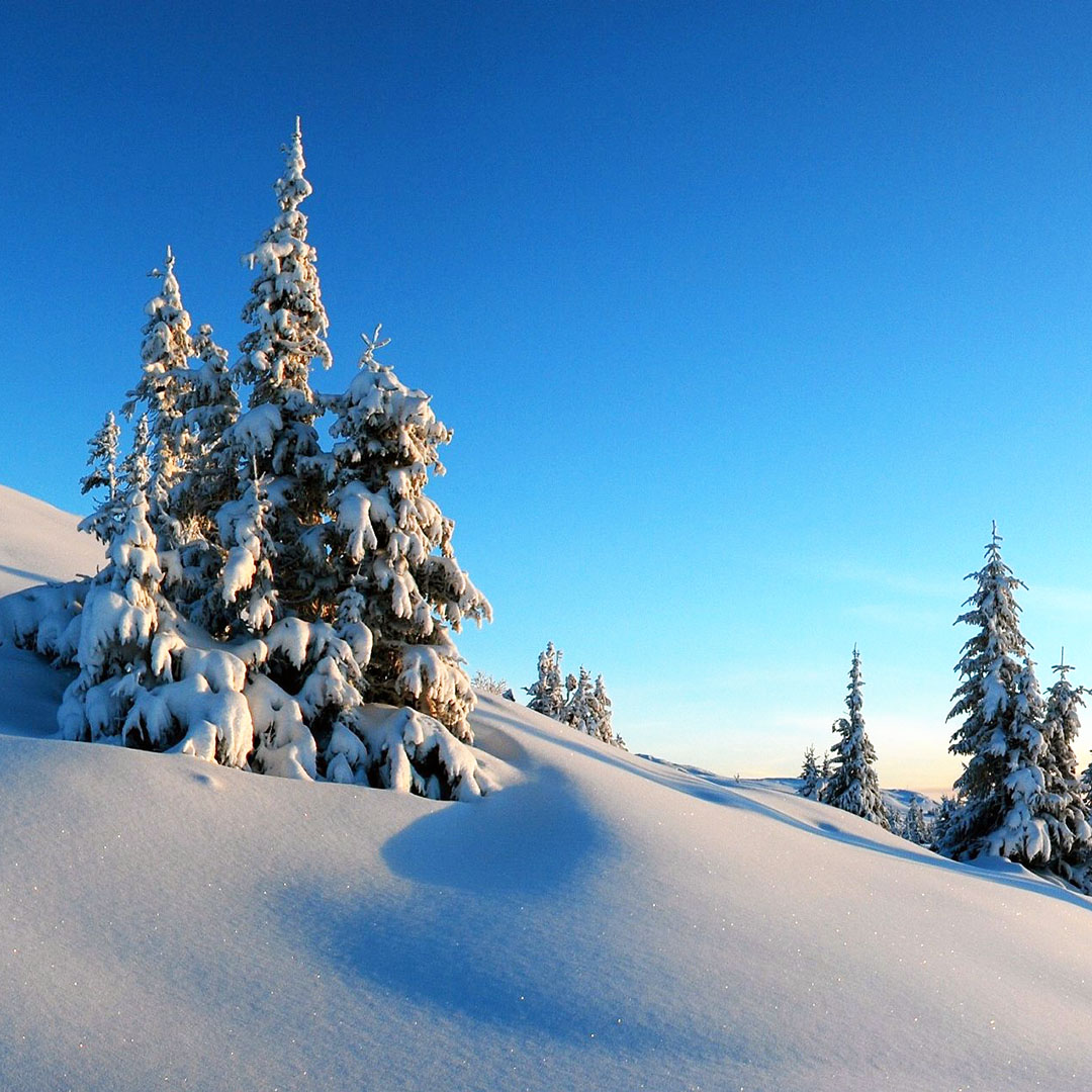Kvitfjell Kvitfjell