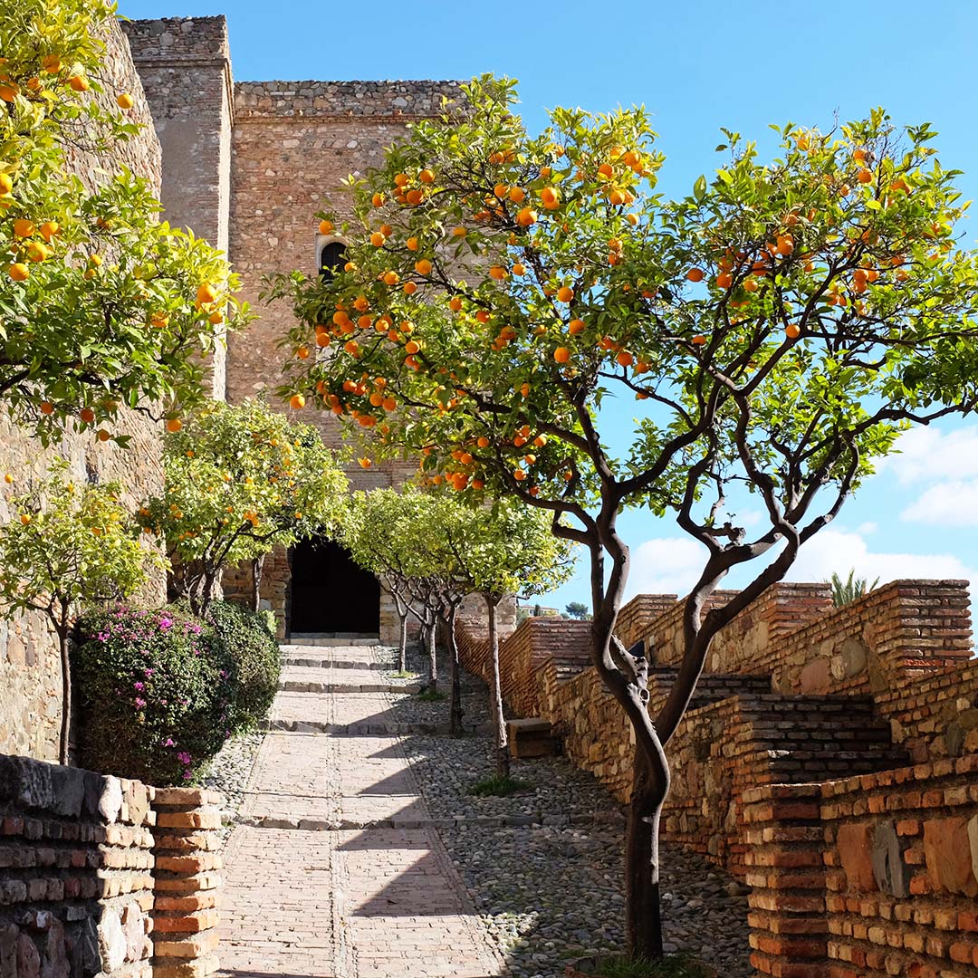 Malaga Malaga